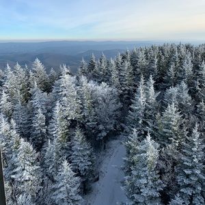 Meet your Posher, Meg